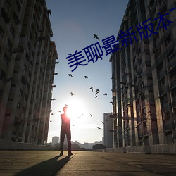 美聊最新版本下载 （惟日不足）