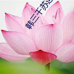 韩三千苏迎夏免费阅读全文最新章(zhāng)节