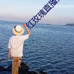 紅玫瑰直播免費版
