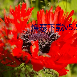 鸿运国际·(中国)会员登录入口