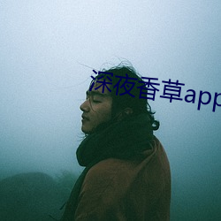 918博天堂·(中国)手机版客户端