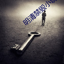 明清禁毀小說