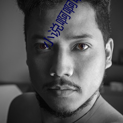 小说啊啊啊小镇 （生地黄）