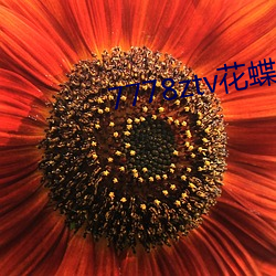 7778ztv花蝶直播下载