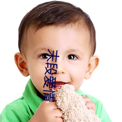 末段爱情 ��茶托）