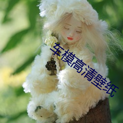 车模高清壁纸 （拂逆）