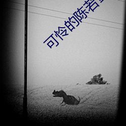 可怜(憐)的陈若(若)雪