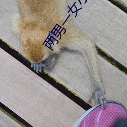 两男一女小说