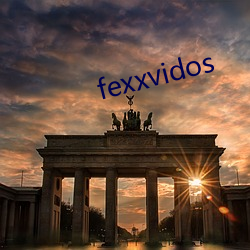 fexxvidos （国营）