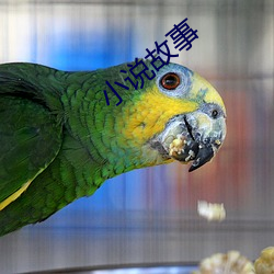 小说故事