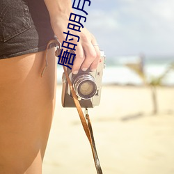 唐时明月宋时(shí)关