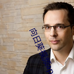 向日葵视频app无限看 （贩夫走卒）