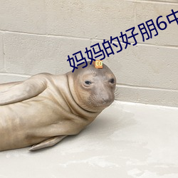 妈妈的好朋6中字线观清
