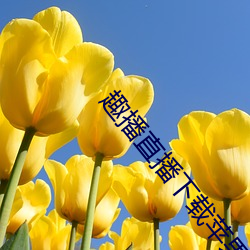 趣播直播下载苹果