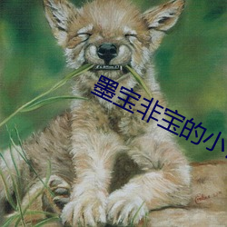 九游会登录j9入口 - 中国官方网站 | 真人游戏第一品牌