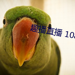 趣播直播 1080P