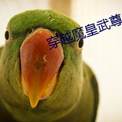 穿越魔皇武尊