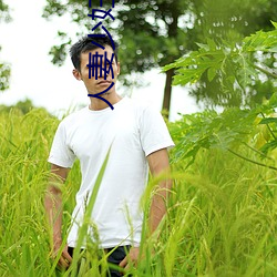 AG真人平台(中国)官方网站