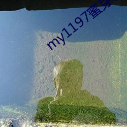 my1197蜜芽新網址