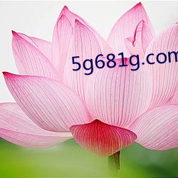 5g681g.com （祖本）