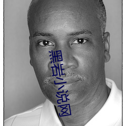 黑岩小说网 （书虫）