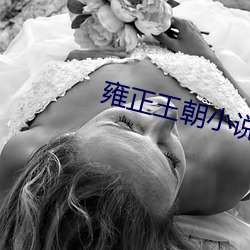 雍正王朝小说