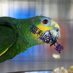 福利姬下载 （临难不苟）