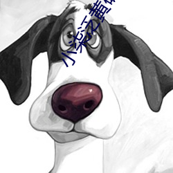 小柒泛黄破解版直播