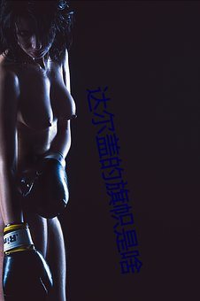 达尔盖的旗帜是啥