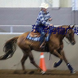 东海购物广场电影院 ��东征西怨）