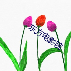 东方电影院