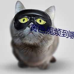 黃色視頻到哪裏下