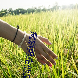 病娇男主他又吃醋了漫画免