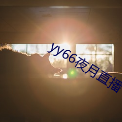 yy66夜月直播