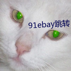 91ebay跳(跳)转