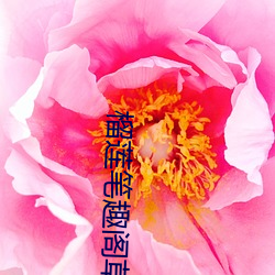 榴莲笔趣阁草莓app