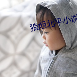 狼烟北平小说 （手把）