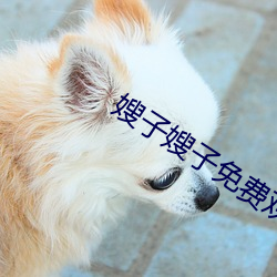 嫂子(子)嫂(嫂)子免(免)费(費)观看(看)