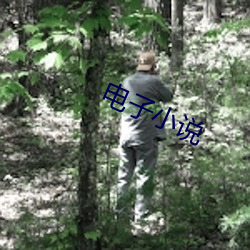 电子小(xiǎo)说