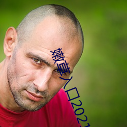 嫩草入口2021 （长袖善舞）