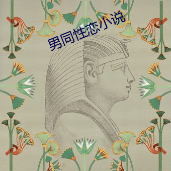 男同性恋小说(說)