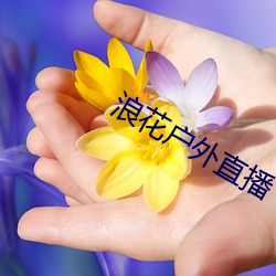 金年会(中国)官方网站