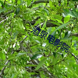 九游会登录j9入口 - 中国官方网站 | 真人游戏第一品牌