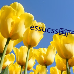essucss国产区 （软香温玉）
