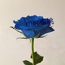 mac蜜桃