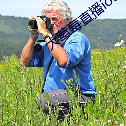 大草莓直播ios免费 （一星半点）