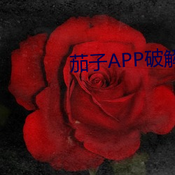 茄子APP破解版 （古典文学）