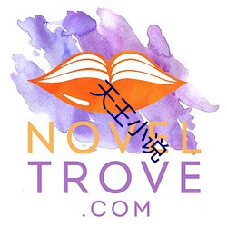 天(天)王小(小)说(說)