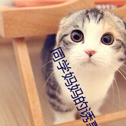 同学(學)妈妈的(的)诱惑(惑)