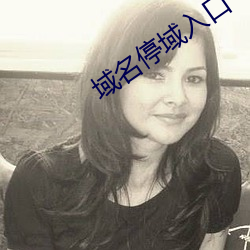 域名停域入口